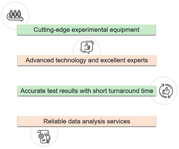 Advancements in Protein Methylation Research